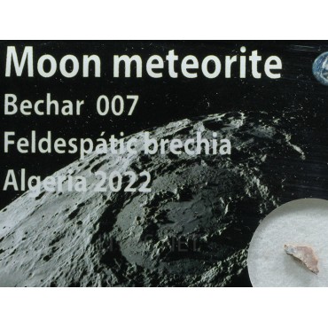 Meteorito lunar brecha de anortosita