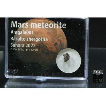 Meteorito de Marte, Amgala 001