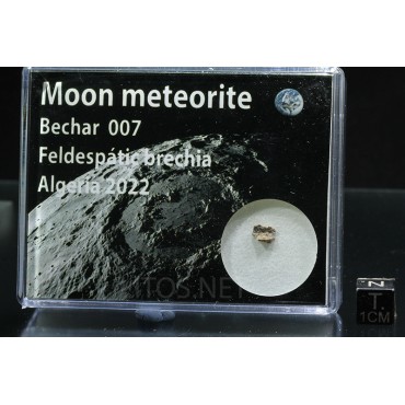 Meteorito lunar brecha anortosita