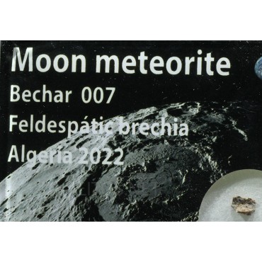 Meteorito lunar brecha anortosita