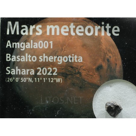 Meteorito de Marte, Amgala 001