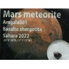 Meteorito de Marte, Amgala 001