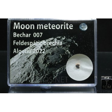 Meteorito lunar, Bechar 007