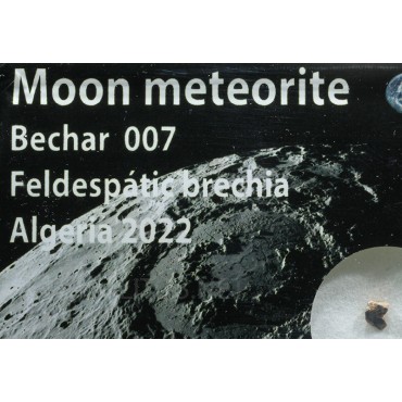 Meteorito lunar, Bechar 007