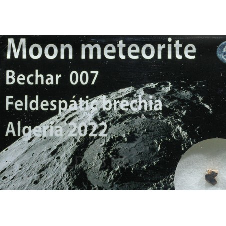 Meteorito lunar, Bechar 007