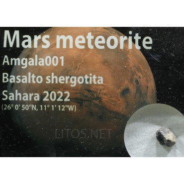 Meteorito de Marte, Amgala 001