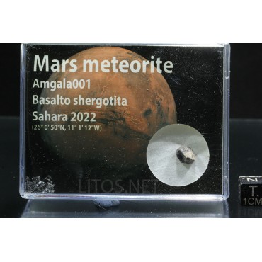 Meteorito de Marte, Amgala 001