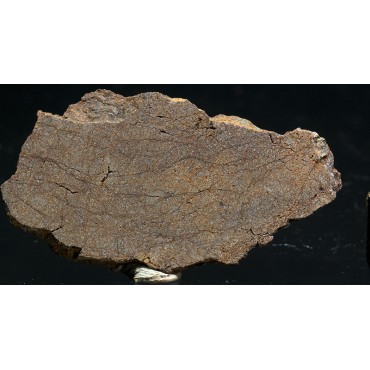 Meteorito acondrita winonaita